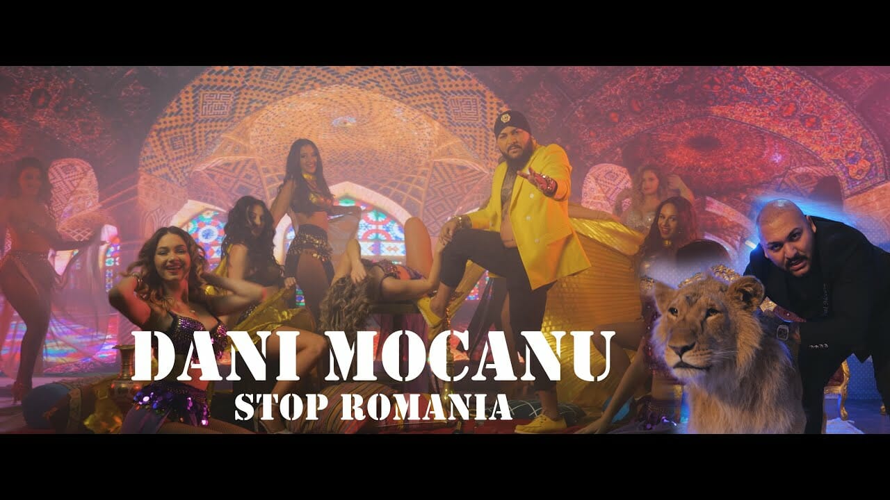 DANI MOCANU - STOP ROMÂNIA